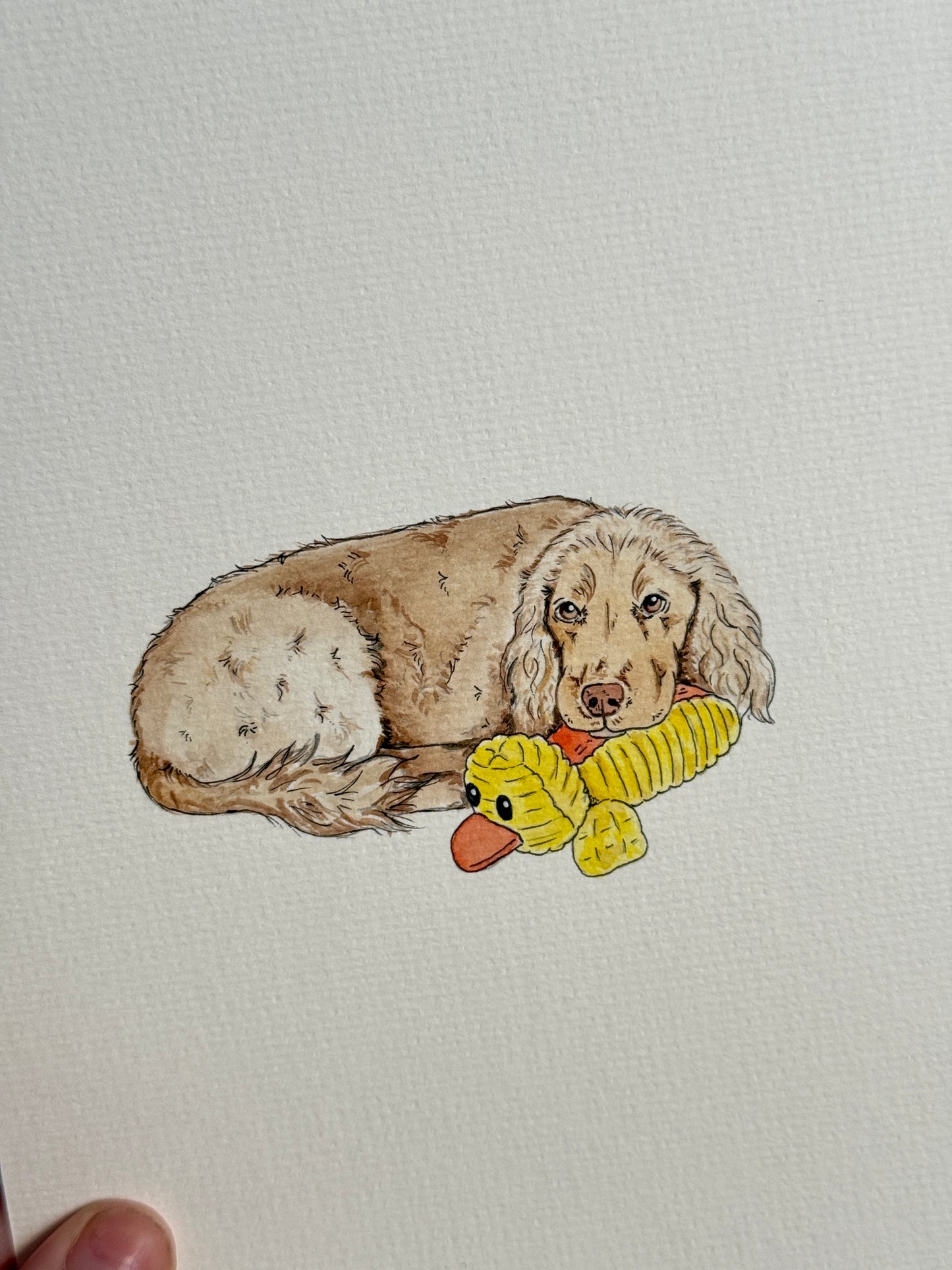 Hand Drawn Pet Portraits