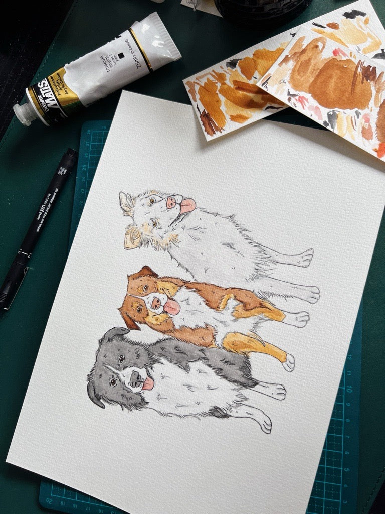 Hand Drawn Pet Portraits