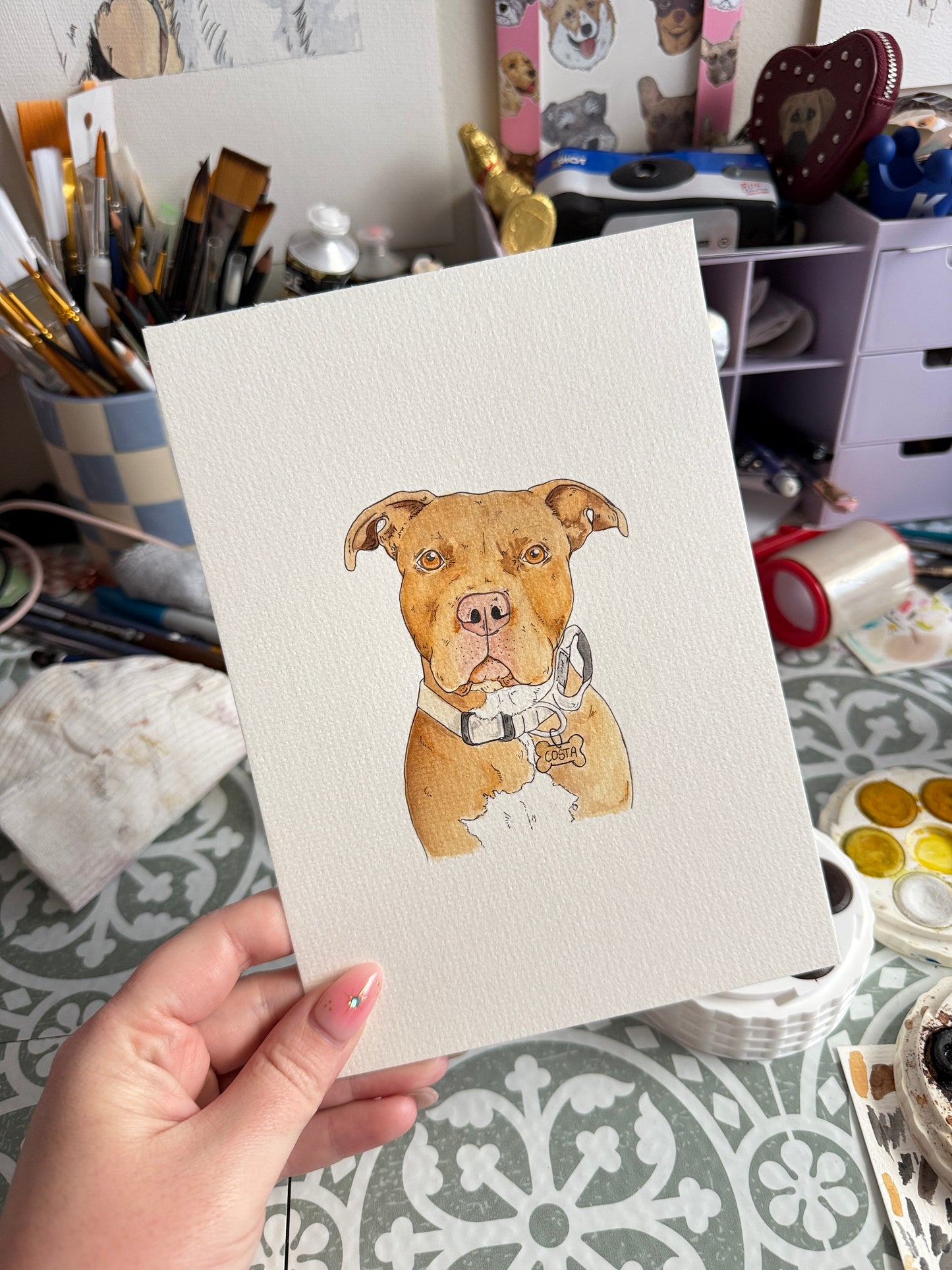 Hand Drawn Pet Portraits