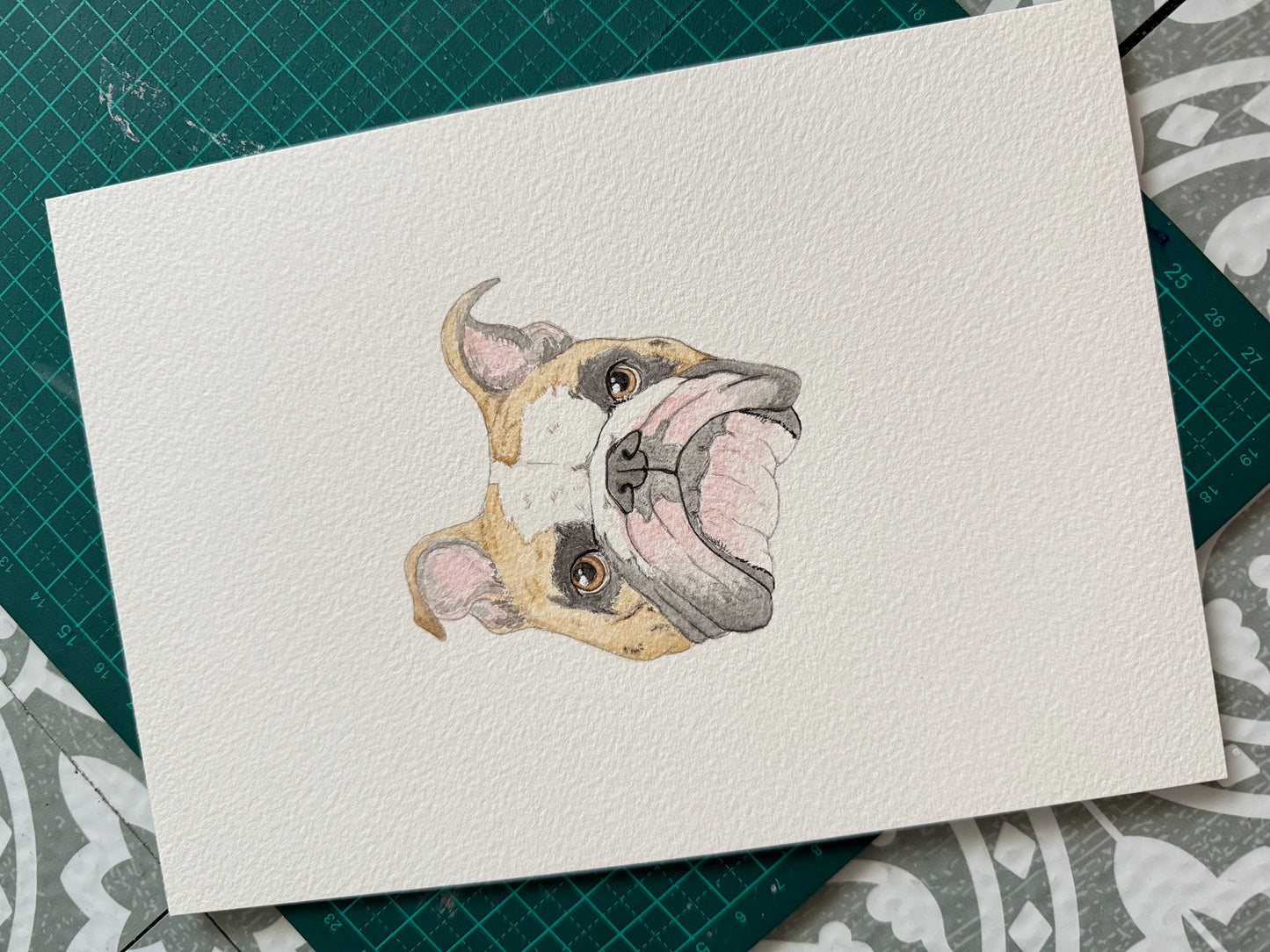 Hand Drawn Pet Portraits