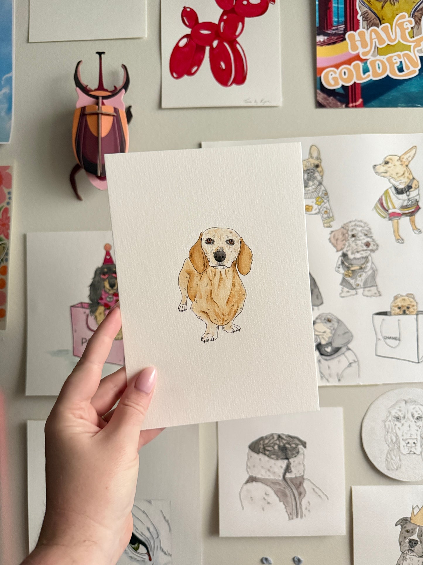 Hand Drawn Pet Portraits
