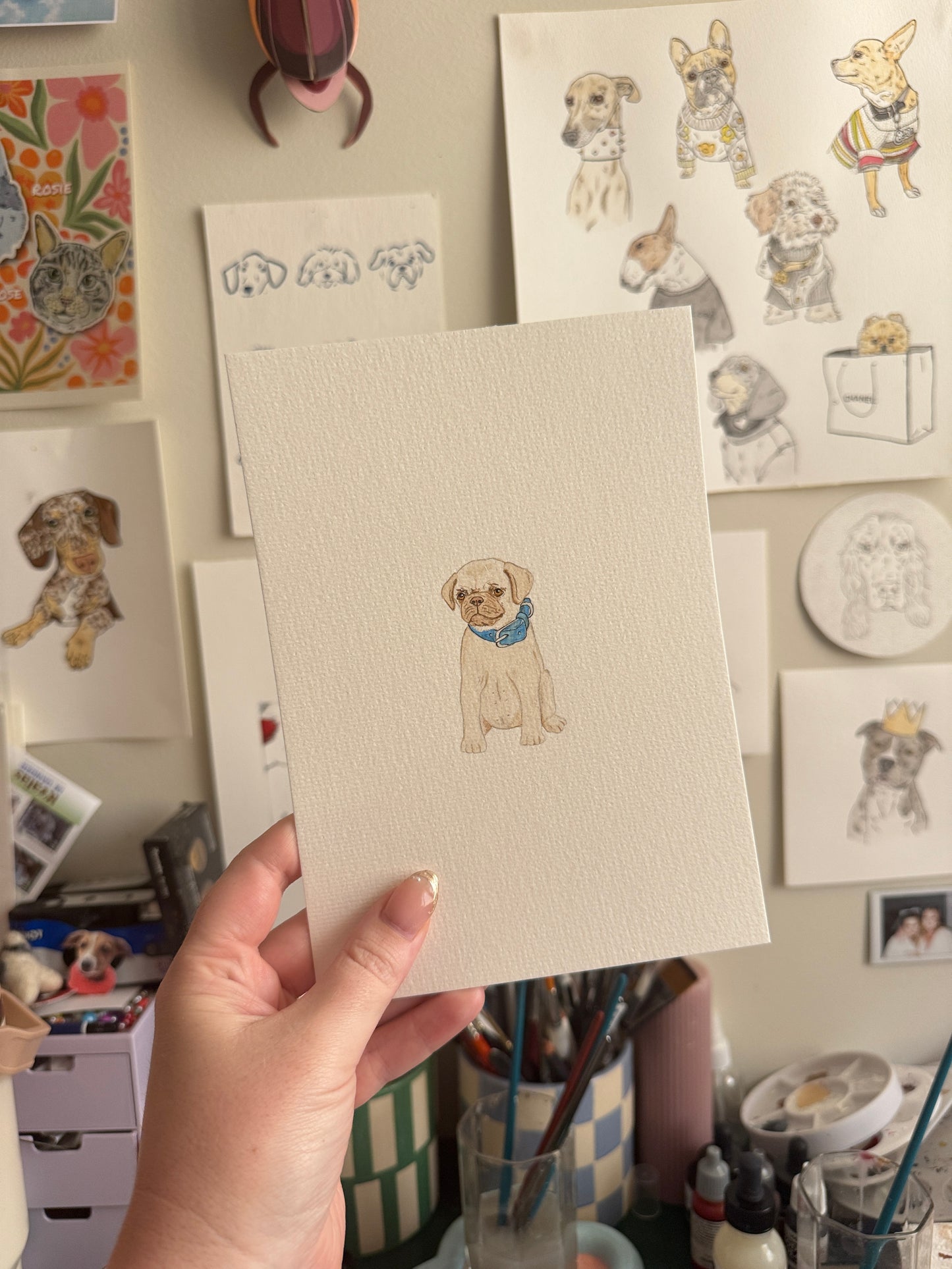 Hand Drawn Pet Portraits