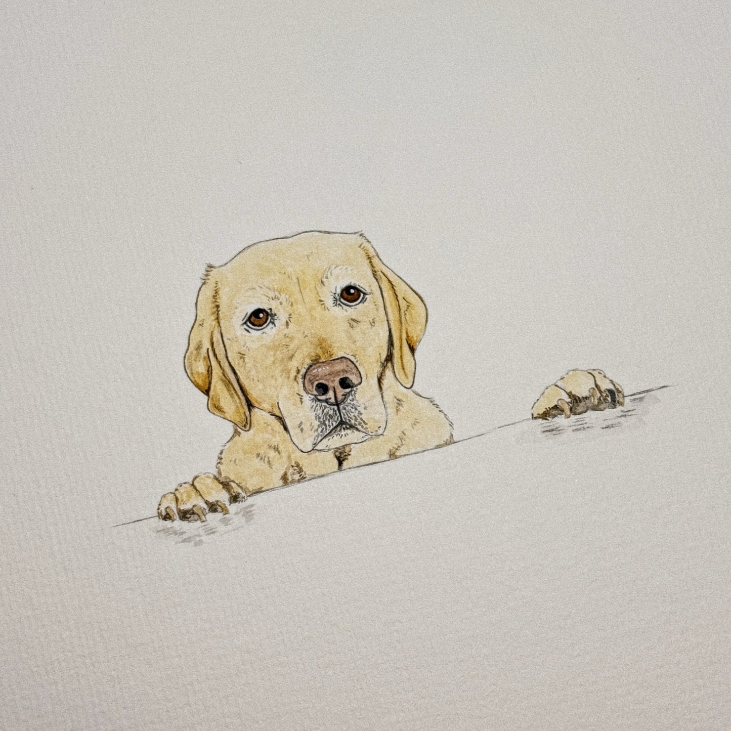 Hand Drawn Pet Portraits