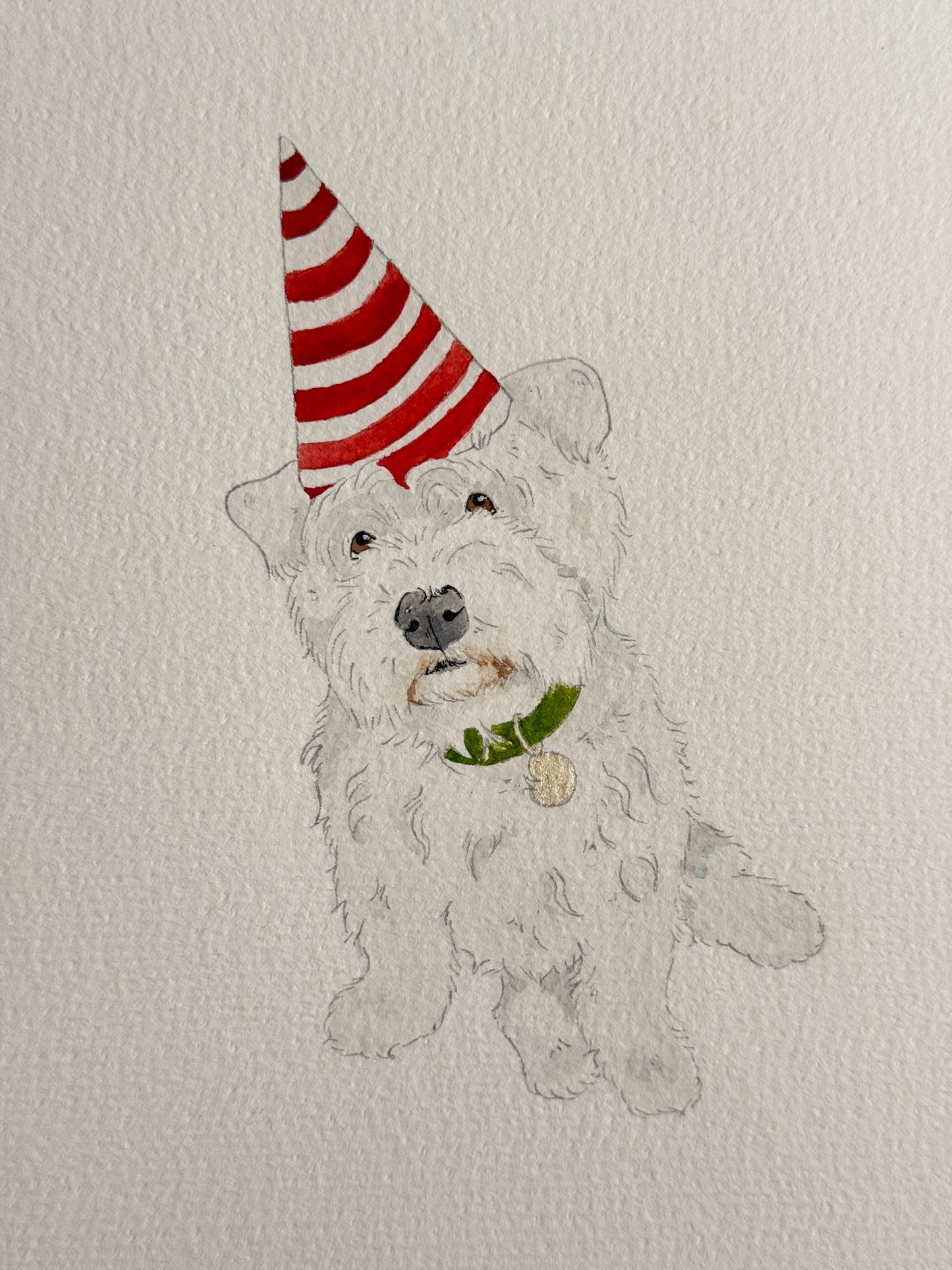 Hand Drawn Pet Portraits