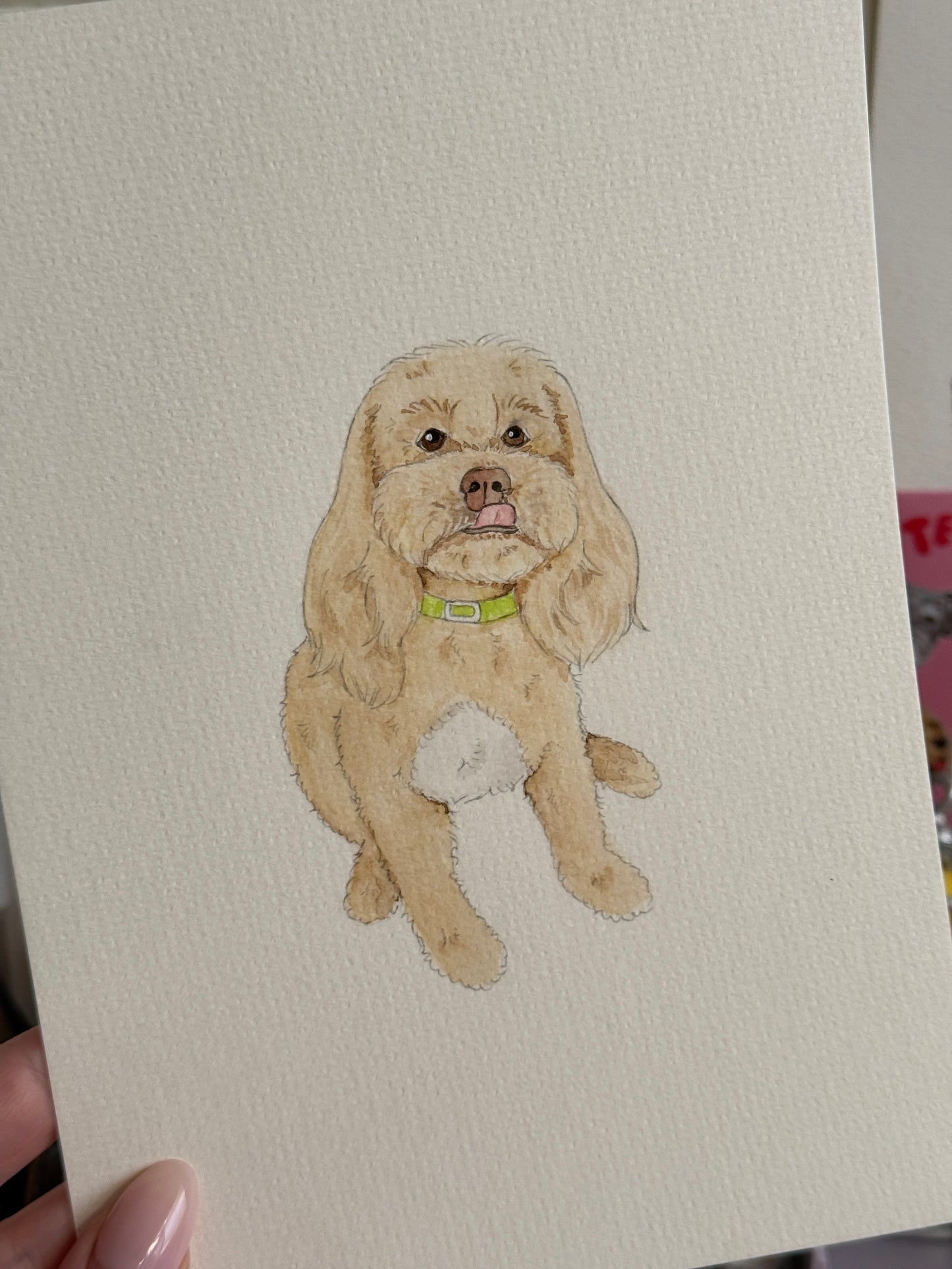 Hand Drawn Pet Portraits
