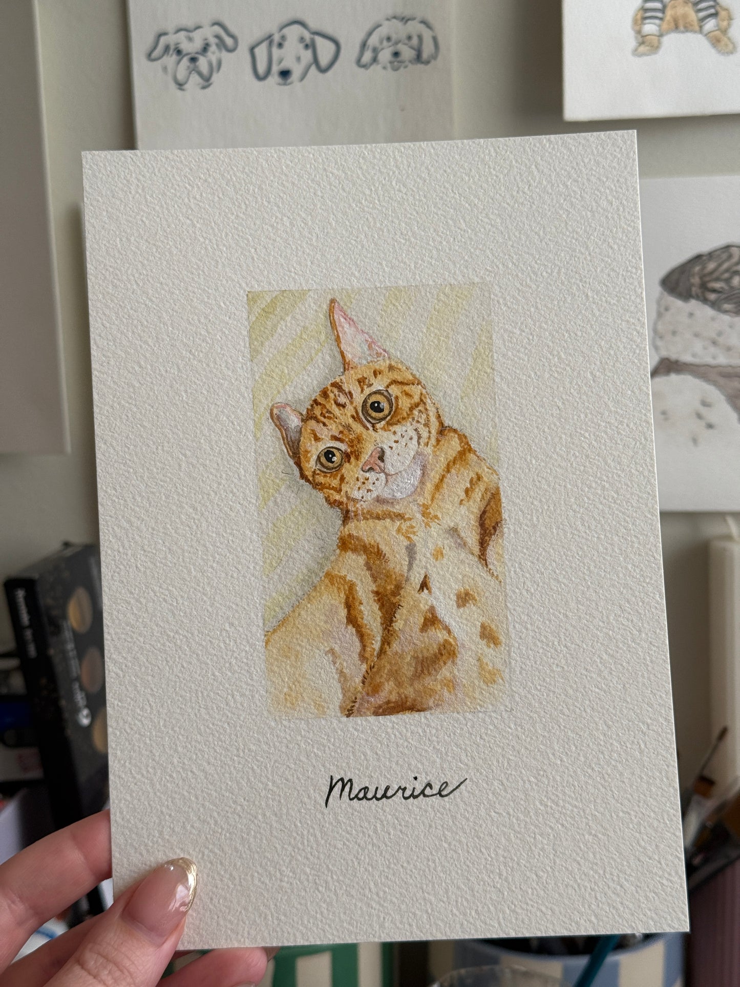 Hand Drawn Pet Portraits
