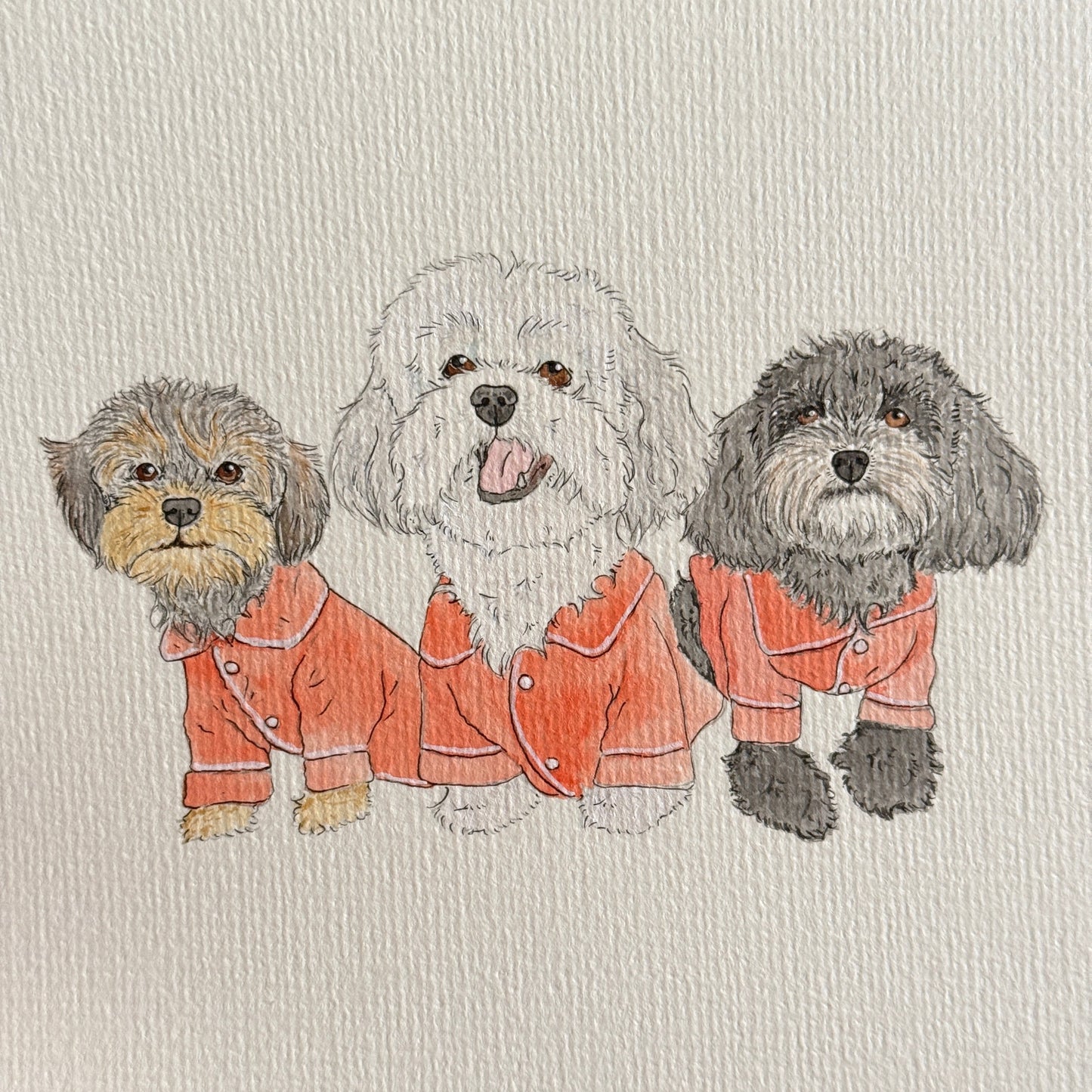 Hand Drawn Pet Portraits