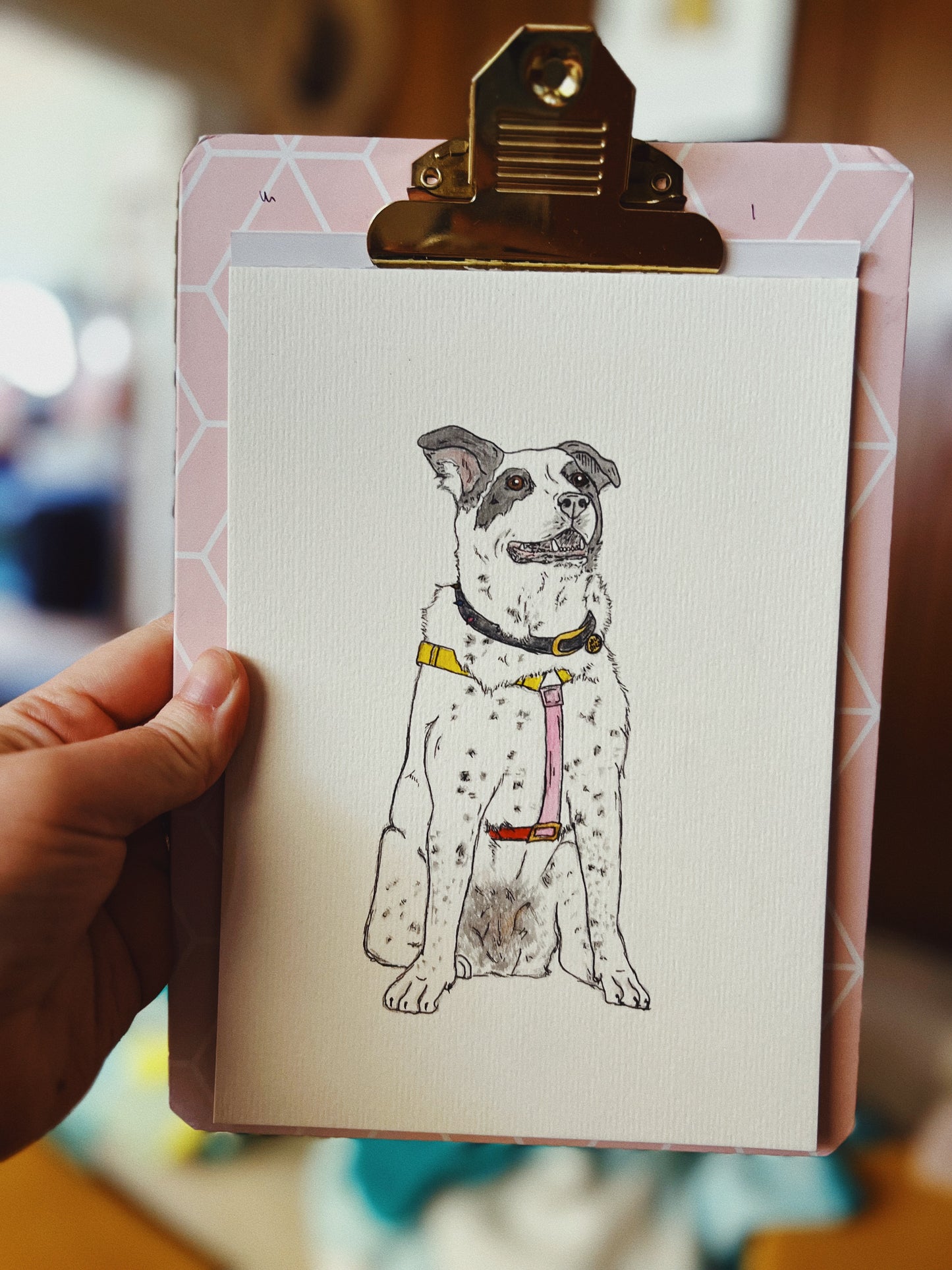 Hand Drawn Pet Portraits